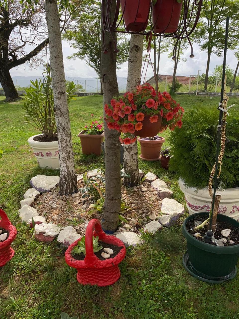 Nikšić Village Flower Ivy Montenegro מראה חיצוני תמונה